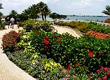 20000529-30-ThePath.jpg