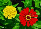 20000529-32-AbstractFlowers.jpg