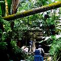 20000529-51-Tourists.jpg