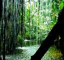 20000529-54-BehindTheWaterfall.jpg